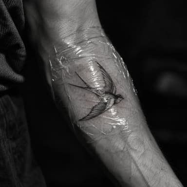 Foto de referencia: golondrina fine line