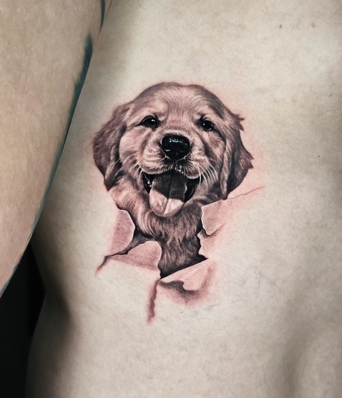 Retrato de mascota · por @inksaac