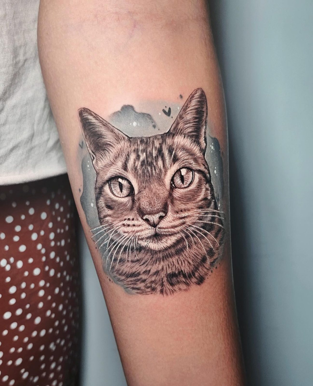 Retrato de gato · por @vickytattoo_